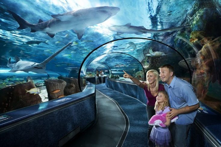 oceanarium