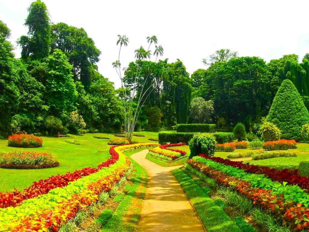 Royal-Botanical-garden-Peradeniya-Sri-Lanka-by-Solarisys-shutterstock_563777509